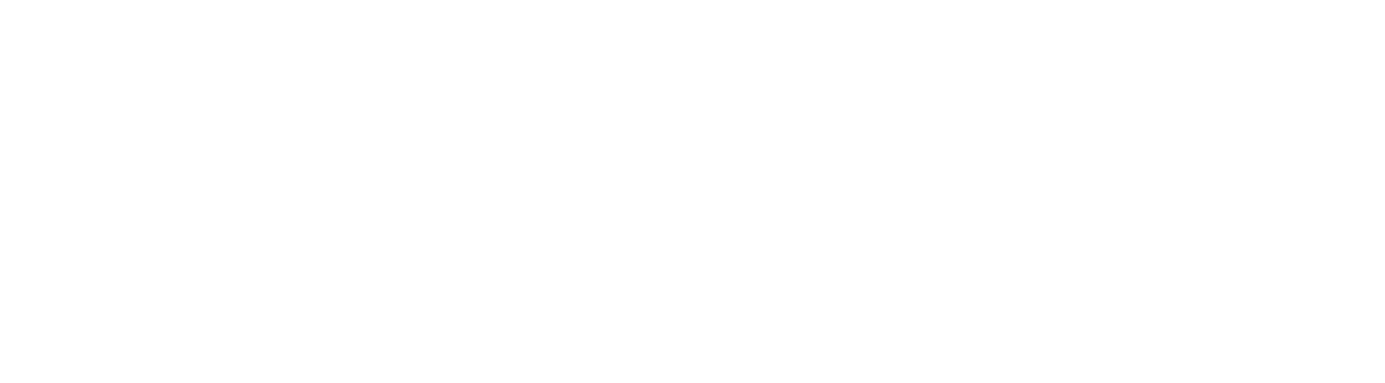 logo not found